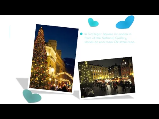 In Trafalgar Square in London in front of the National Gallery, stands an enormous Christmas tree.