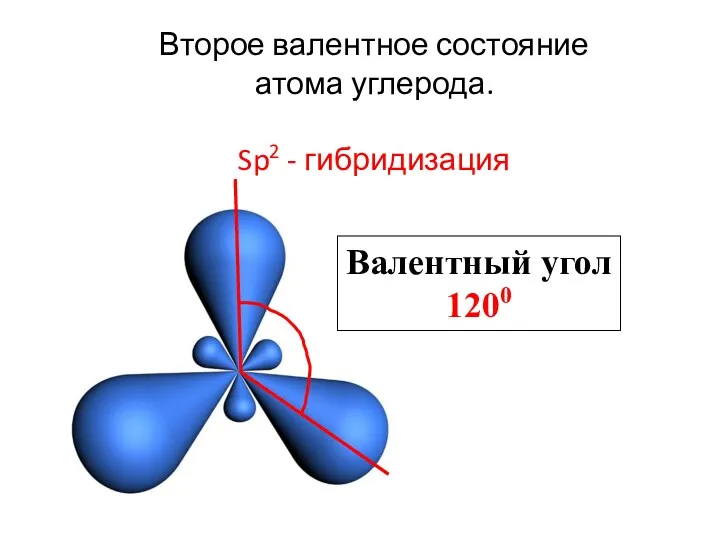 Второе валентное состояние атома углерода. Sp2 - гибридизация Валентный угол 1200