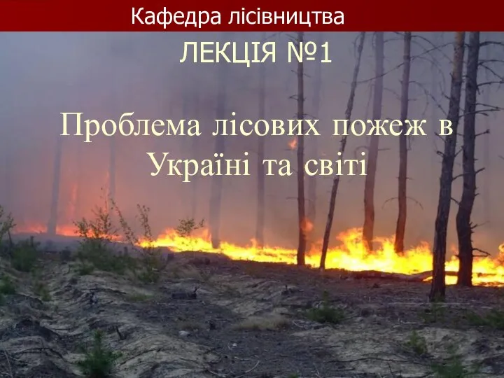 Проблема лісових пожеж в Україні та світі