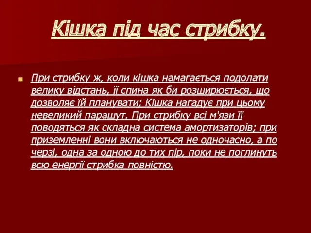 Кішка під час стрибку. При стрибку ж, коли кішка намагається подолати велику відстань,