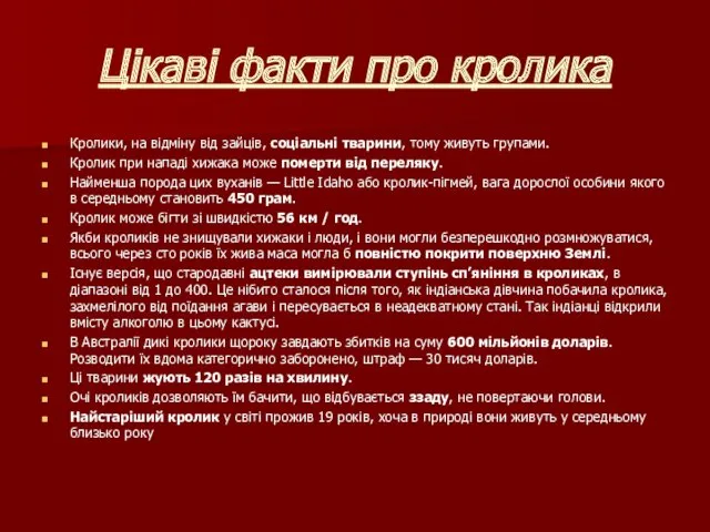 Цiкавi факти про кролика Кролики, на відміну від зайців, соціальні