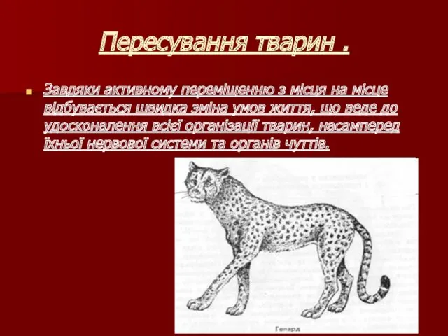 Пересування тварин . Завдяки активному переміщенню з місця на місце