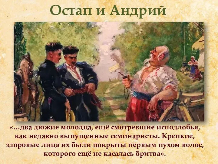 Остап и Андрий «…два дюжие молодца, ещё смотревшие исподлобья, как недавно выпущенные семинаристы.