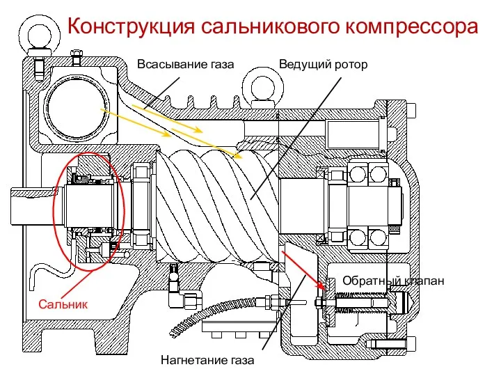 Сальник Всасывание газа Нагнетание газа Ведущий ротор Обратный клапан Конструкция сальникового компрессора