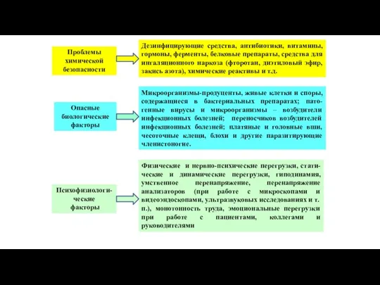 Проблемы химической безопасности Дезинфицирующие средства, антибиотики, витамины, гормоны, ферменты, белковые