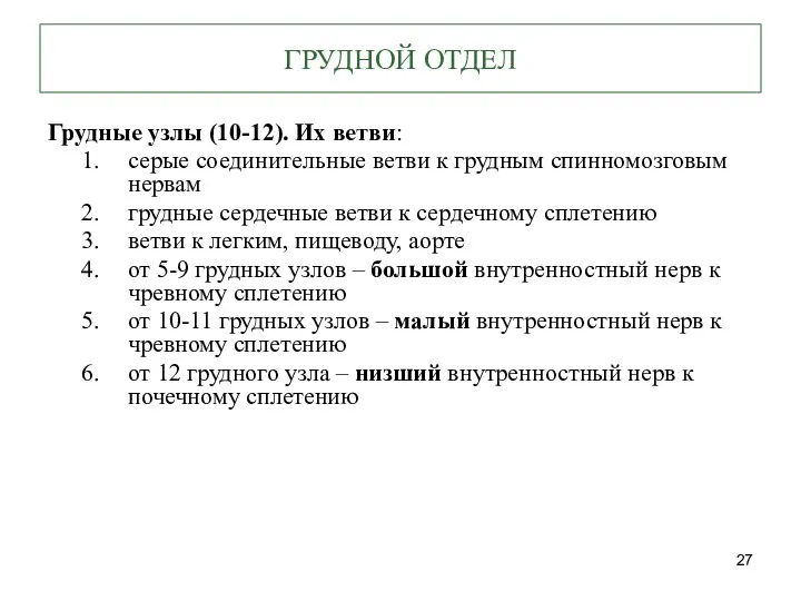 ГРУДНОЙ ОТДЕЛ Грудные узлы (10-12). Их ветви: серые соединительные ветви