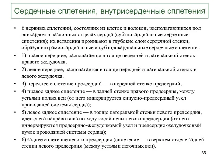 Сердечные сплетения, внутрисердечные сплетения 6 нервных сплетений, состоящих из клеток