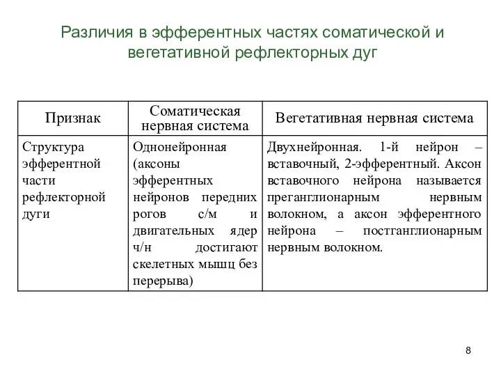 Различия в эфферентных частях соматической и вегетативной рефлекторных дуг