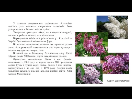 У розвиток декоративного садівництва 19 століття помітна роль належала товариствам