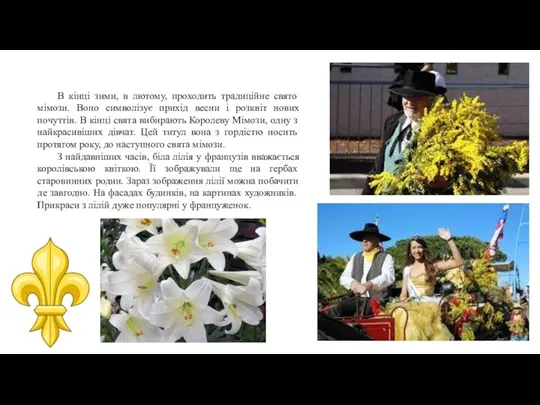 В кінці зими, в лютому, проходить традиційне свято мімози. Воно