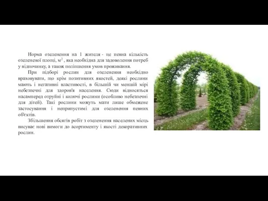 Норма озеленення на 1 жителя - це певна кількість озелененої