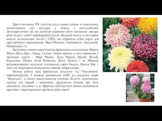 Друга половина XX століття стала новим етапом в подальшому вдосконаленні