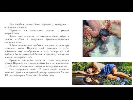 Для італійців донині букет нарцисів у подарунок – освідчення в