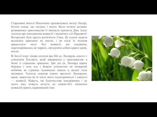 Стародавні жителі Німеччини присвячували квітку Остарі, богині сонця, що сходить