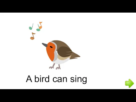 A bird can sing