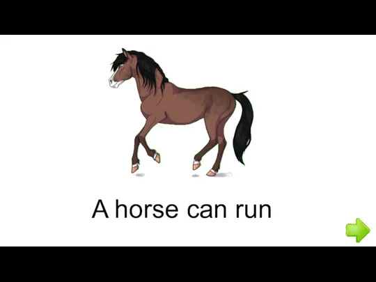 A horse can run