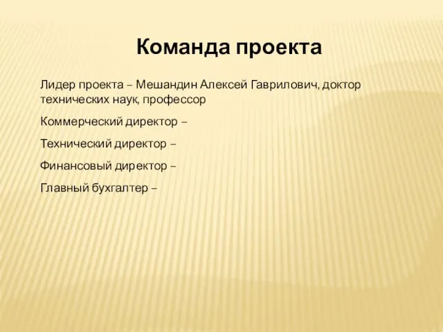 Команда проекта Лидер проекта – Мешандин Алексей Гаврилович, доктор технических