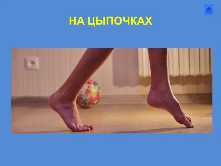 НА ЦЫПОЧКАХ