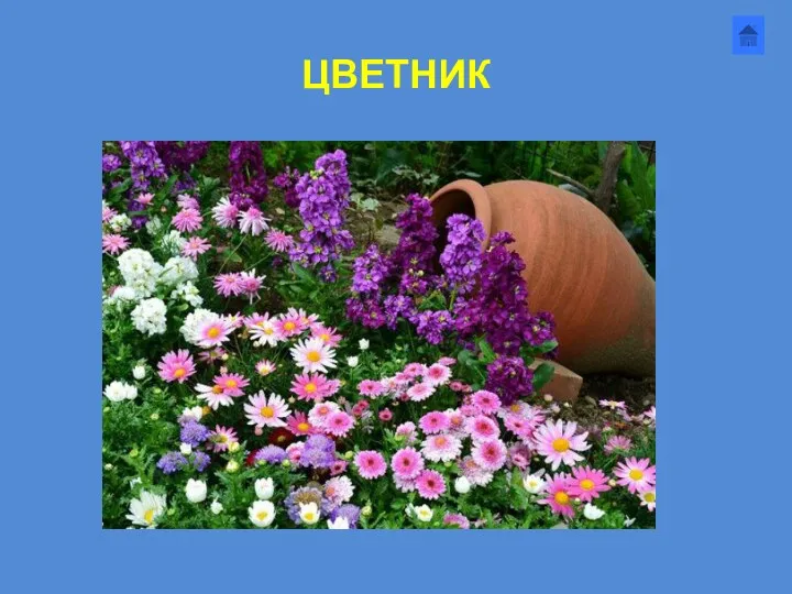 ЦВЕТНИК