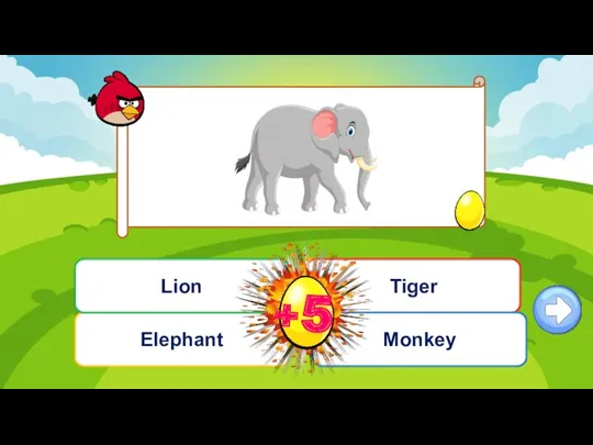 Câu hỏi 2 Elephant Tiger Monkey Lion
