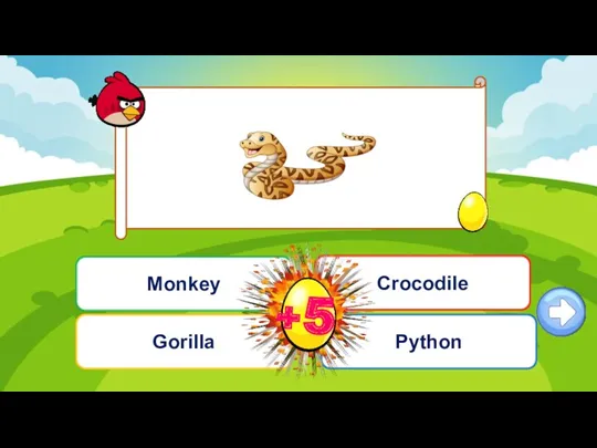 Câu hỏi 4 Gorilla Monkey Crocodile Python