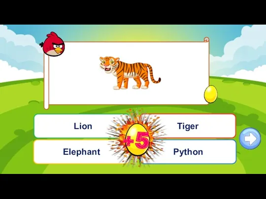 Câu hỏi 3 Elephant Lion Python Tiger