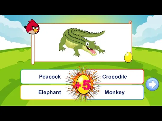 Câu hỏi 3 Elephant Peacock Monkey Crocodile
