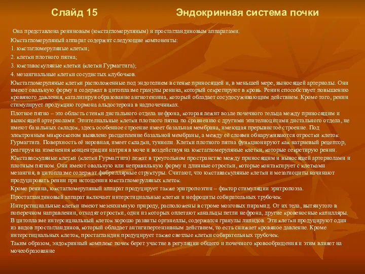 Слайд 15 Эндокринная система почки Она представлена рениновым (юкстагломеруляным) и