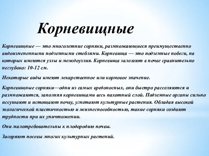 Корневищные Корневищные — это многолетние сорняки, размножающиеся преимущественно видоизмененными подземными