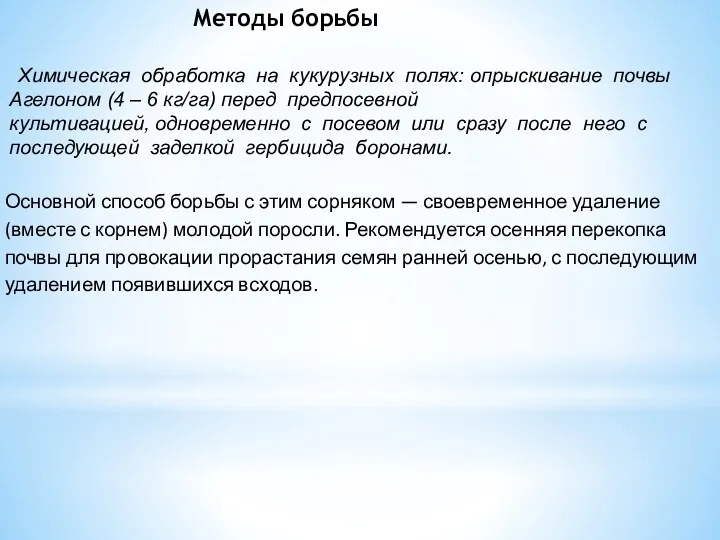 Химическая обработка на кукурузных полях: опрыскивание почвы Агелоном (4 – 6 кг/га) перед