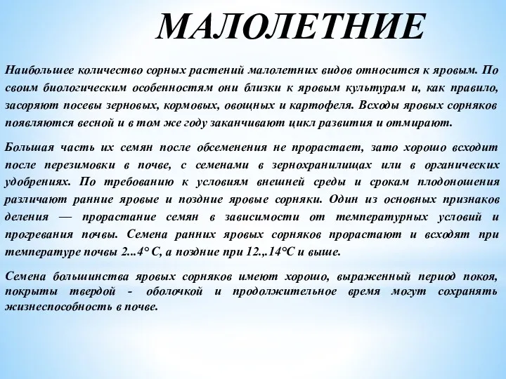 МАЛОЛЕТНИЕ Наибольшее количество сорных растений малолетних видов относится к яровым.