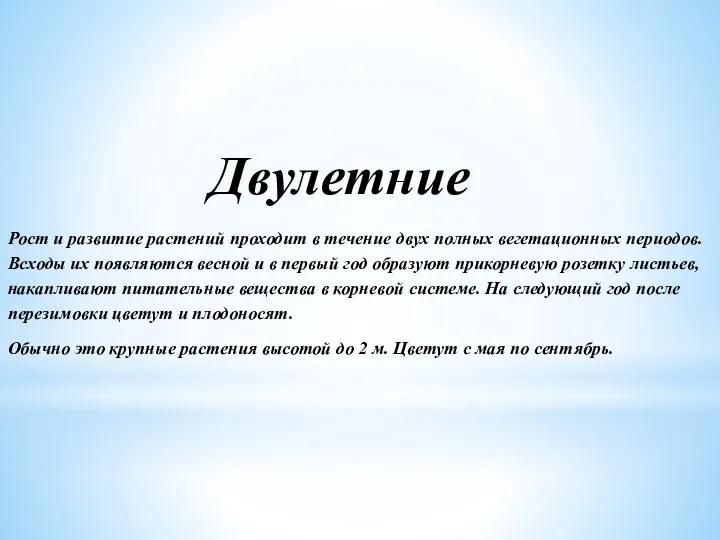 Двулетние Рост и развитие растений проходит в течение двух полных вегетационных периодов. Всходы