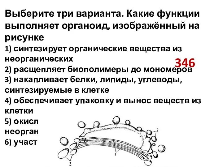 346 Выберите три варианта. Какие функции выполняет органоид, изображённый на