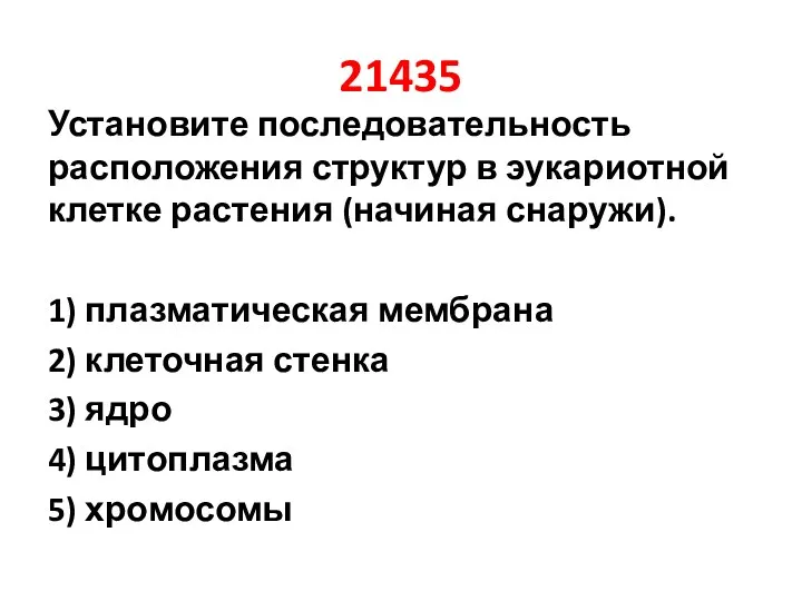 21435 Установите последовательность расположения структур в эукариотной клетке растения (начиная