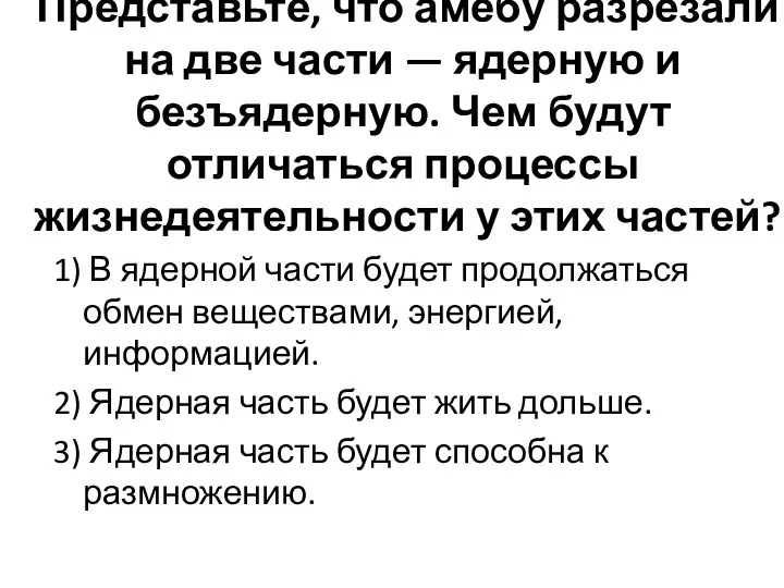 Представьте, что амёбу разрезали на две части — ядерную и