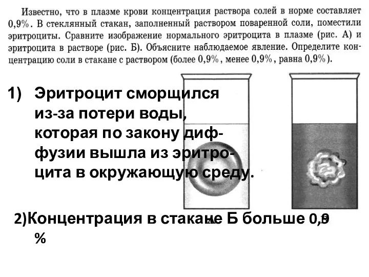 Прил демо Эритроцит сморщился из-за потери воды, которая по закону