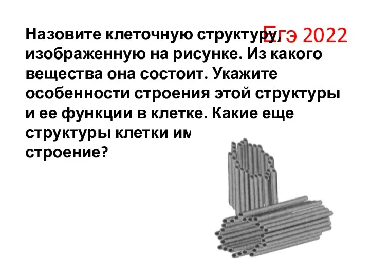 Егэ 2022 Назовите клеточную структуру, изображенную на рисунке. Из какого