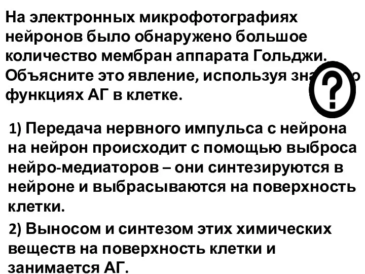 На электронных микрофотографиях нейронов было обнаружено большое количество мембран аппарата