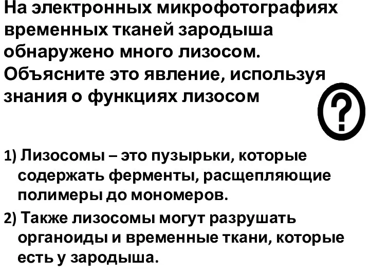 На электронных микрофотографиях временных тканей зародыша обнаружено много лизосом. Объясните