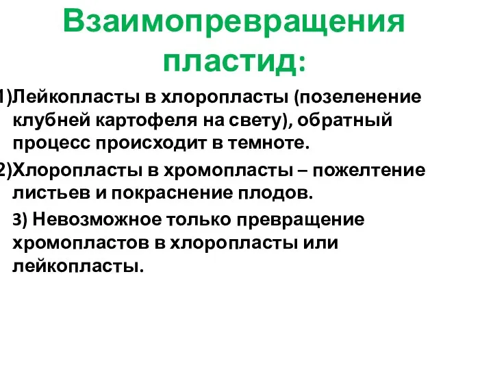 Взаимопревращения пластид: Лейкопласты в хлоропласты (позеленение клубней картофеля на свету),