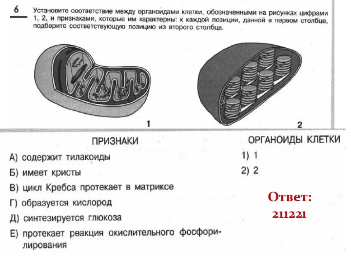 Я сдам Ответ: 211221