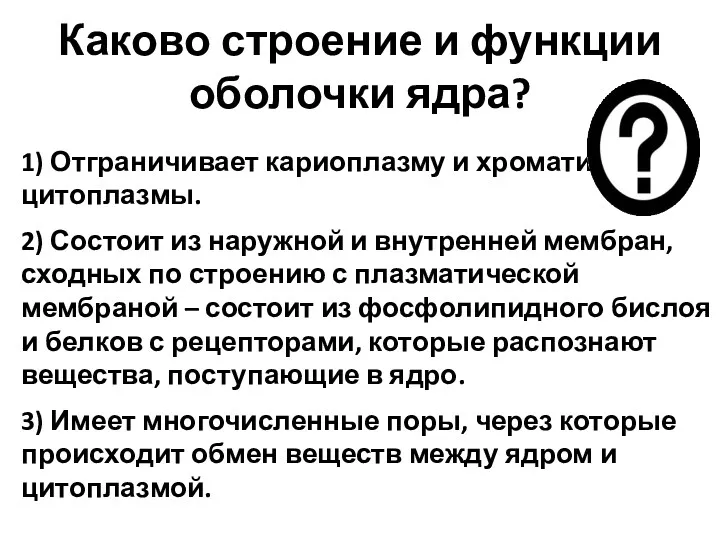 Каково строение и функции оболочки ядра? 1) Отграничивает кариоплазму и