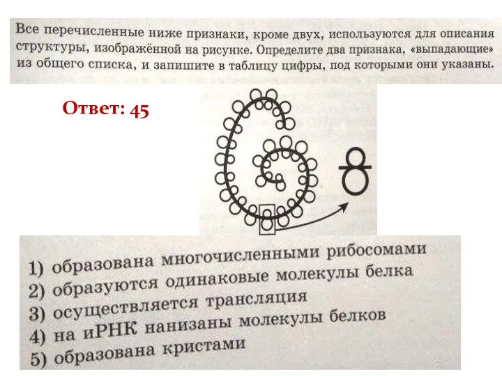 Рох 3 Ответ: 45