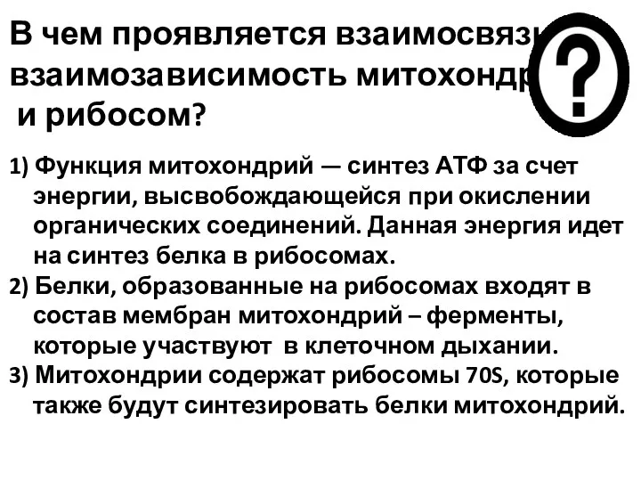 В чем проявляется взаимосвязь и взаимозависимость митохондрий и рибосом? 1)