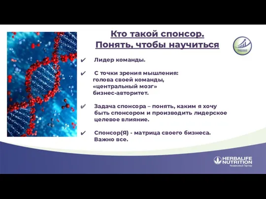 Кто такой спонсор. Понять, чтобы научиться Лидер команды. С точки