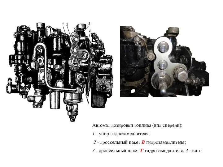 Автомат дозировки топлива (вид спереди): 1 - упор гидрозамедлителя; 2
