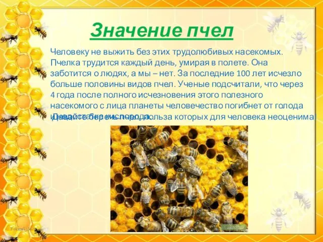 Значение пчел Человеку не выжить без этих трудолюбивых насекомых. Пчелка