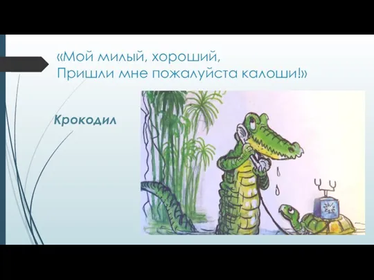 «Мой милый, хороший, Пришли мне пожалуйста калоши!» Крокодил