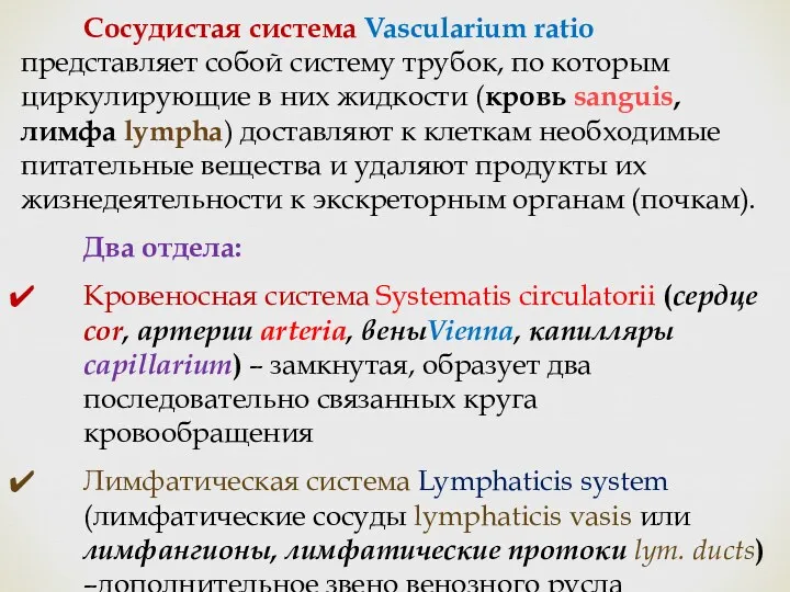 Сосудистая система Vascularium ratio представляет собой систему трубок, по которым циркулирующие в них