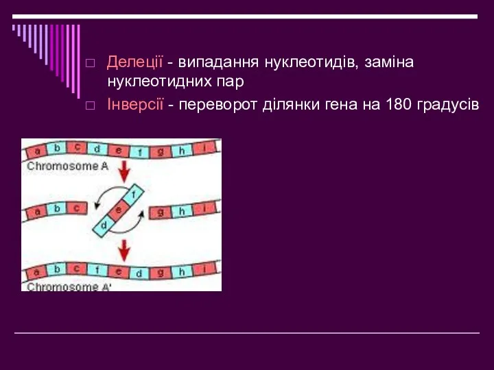 Делеції - випадання нуклеотидів, заміна нуклеотидних пар Інверсії - переворот ділянки гена на 180 градусів